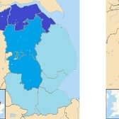 The preferred options for West Lindsey in local government organisation.  Credit: LDRS