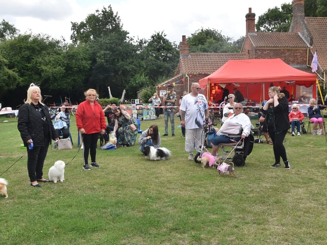 Lots of waggy tails in the ring at the pet show.