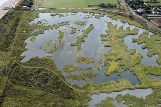 An impression of the wetland habitats created by the project. Copyright National Trust, Peter Farmer, Wayne Lagden