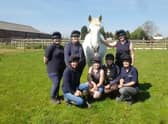 Boz spent his retirement at Bransby Horses