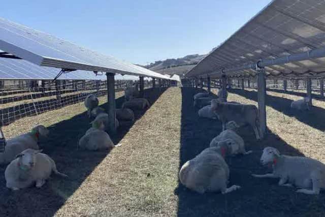New solar farm plans for land south of Sleaford