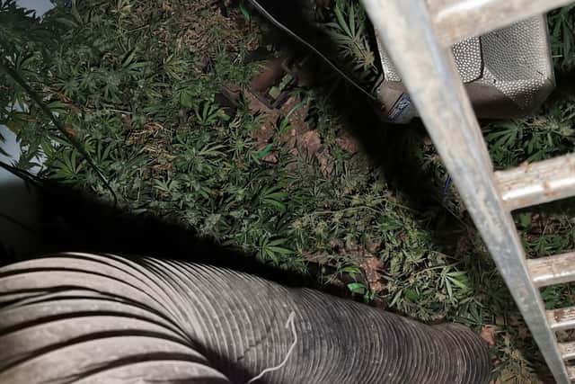 The underground drugs grow found in bunkers 20ft down made from shipping containers. Photo: Lincs Police