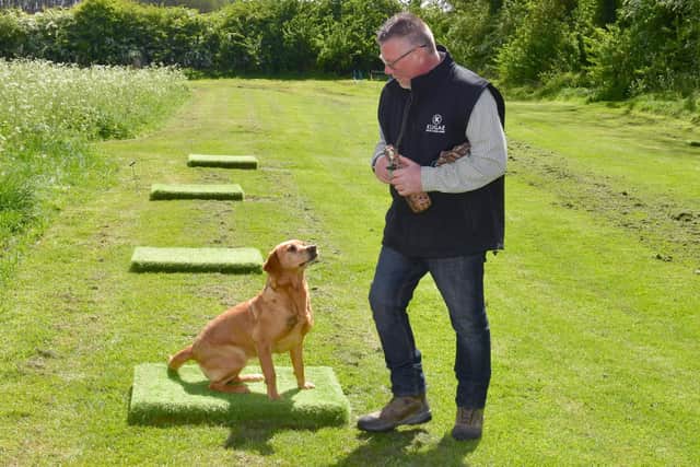 Kugae's professional expert Carl Anderson gives a demonstration with his dog, Rain. (PHOTO BY: D.R., Dawson Photography)