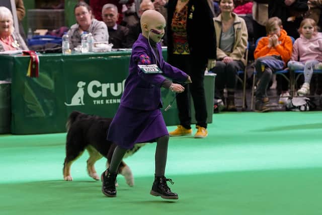 Freya Harris Freya, 8, and Australian Shepherd puppy wow Crufts crowds