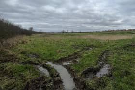 Where the new housing development is to be built