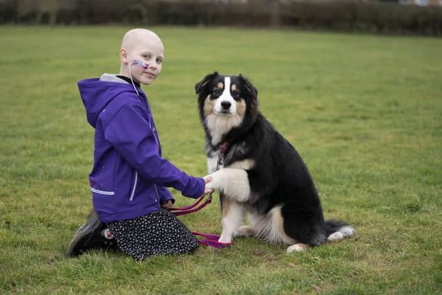 Crufts competitor Freya Harris from Horncastle in Lincolnshire, with her Australian Shepherd puppy, Echo. Photo: imagecomms