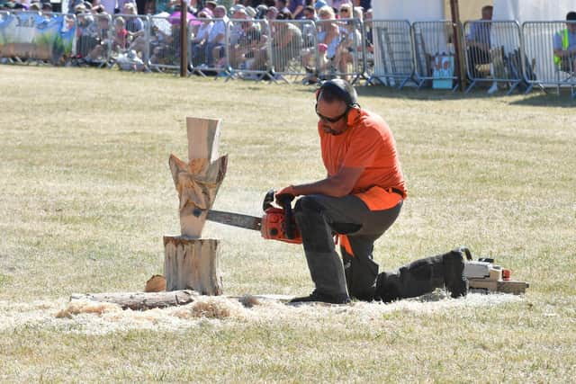 Chainsaw carving demonstration.