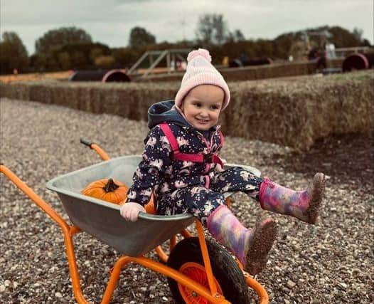 There is fun for all the family at Bell's Pumpkin Patch in Boston.