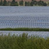 NKDC planners have submitted their Local Impact Report to the planning inspector looking at the Heckington Fen Solar park plans. (File picture for illustration only)