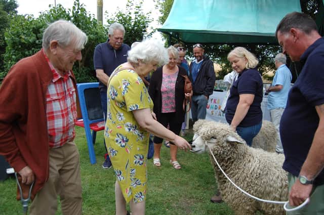 Lincolnshire Longwool sheep will be stars of the show at Dogdyke Pumping Station's Sheep and Wool Day.