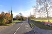 Police say the remains have been found behind a property on East Street, Alford.