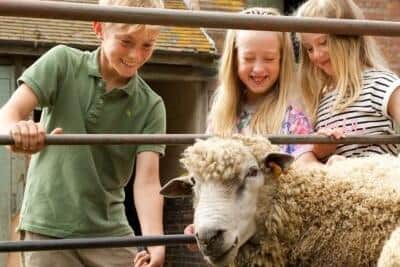 The Lincolnshire Wolds Tractor Run run will visit an event being held to mark Open Farm Sunday, whereby farms open their gates to the public. (PHOTO BY: LEAF (Linking Environment and Farming) charity)