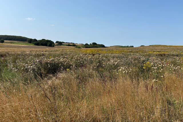 It will be the fifth new woodland site bought in Lincolnshire since 2024. Photo: Forestry Commission