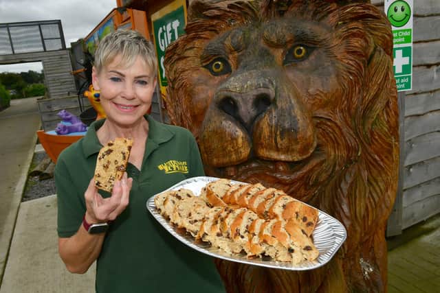 Events manager, Sharron Tonge handing out plum bread to visitors.