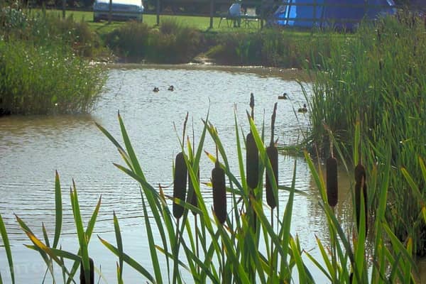Birchwood Fishing and Camping site in Skegness has been named as one of the UK's best kept secrets.