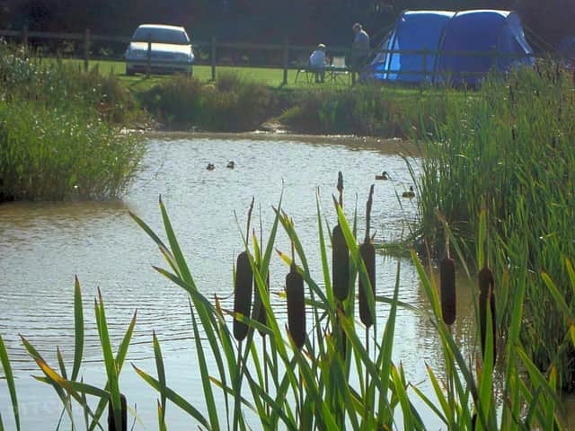 Birchwood Fishing and Camping site in Skegness has been named as one of the UK's best kept secrets.