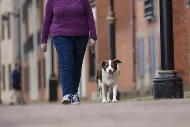 Tougher measures have been extended to tackle dog fouling