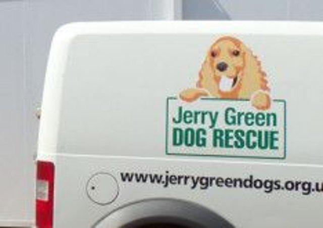 Jerry green dog best sale rehoming