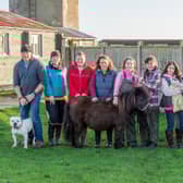 The Ark Animal Care team, from left: volunteer dog walker Clive , Lydia Ledgard, volunteer Tom, assistant manager Laura Wootton, Jess Barkhouse, Tracey Cashman, Emma Phillips, volunteer Doreen Reynolds, Sara Drage and dog walker Jim.