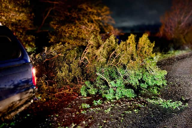 The A15 near Navenby was reduced to one lane overnight due to a Fallen Tree