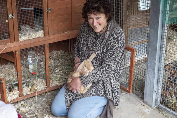 Ark Animal Rescue's Sue Rice with one of their rescue rabbits. Photos: Holly Parkinson Photography.