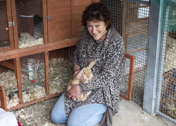 Ark Animal Rescue's Sue Rice with one of their rescue rabbits. Photos: Holly Parkinson Photography.
