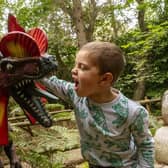 Get up close and personal with a raptor (photo: Chris Ball)