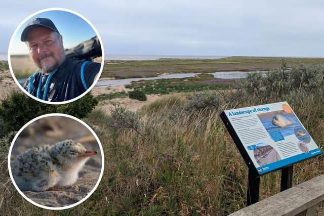 Main image: Gibraltar Point Nature Reserve. Inset images: Mike Watts and one of the nesting chicks at the site.