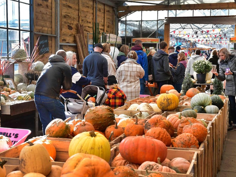 Visitors head for the tills to buy their pumpkins