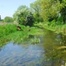 The River Slea. People are being asked what aspects of nature are most important to them in Lincolnshire.