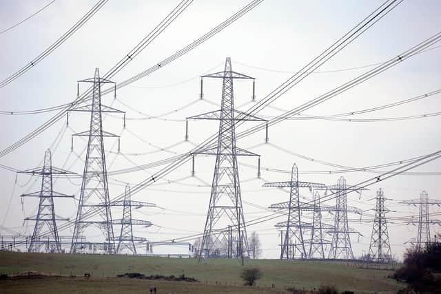 A total of 400 electricity pylons would be spread across Lincolnshire's countryside if National Grid's plan goes ahead (PHOTO BY: Michael Gillen/National World)