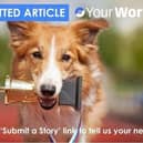 Use the 'Submit a Story' link to tell us your news.