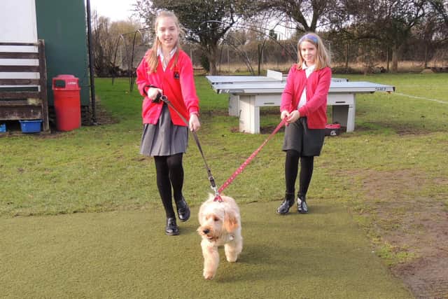 Paw Patrol members Summer and Gabi take Fudge for a walk around the school grounds.