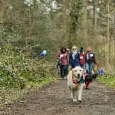 ‘Paw-some’ fundraising challenge: East of England dog owners are being urged to walk with their pooches for Cancer.