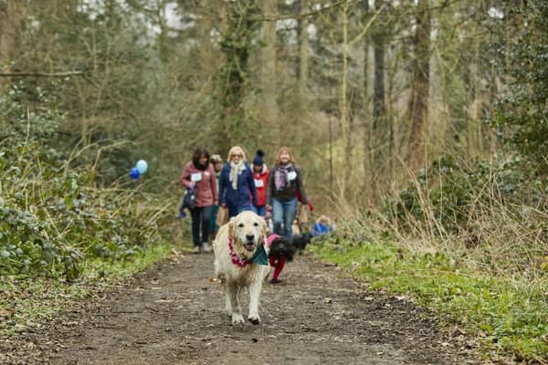 ‘Paw-some’ fundraising challenge: East of England dog owners are being urged to walk with their pooches for Cancer.