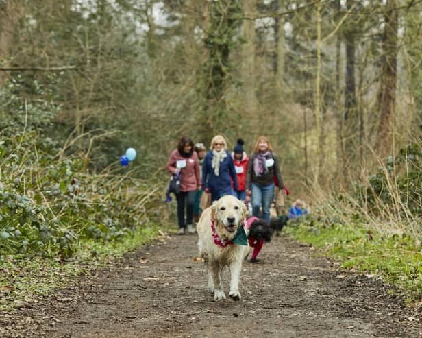 ‘Paw-some’ fundraising challenge: East of England dog owners are being urged to walk with their pooches for Cancer.