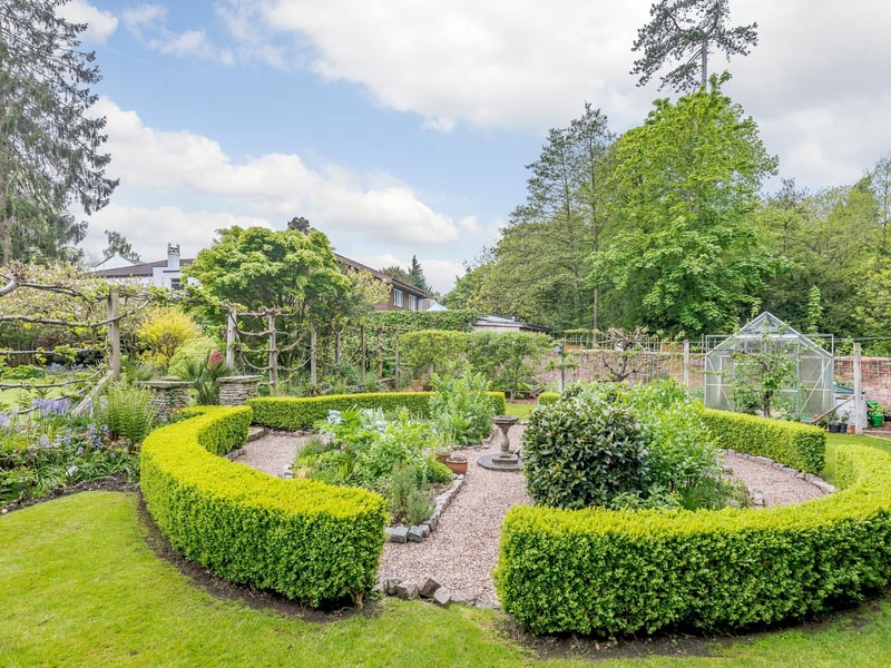 More of the garden.