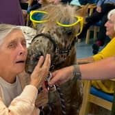 Rainbow Dreaming ponies bring joy to  Skegness Day Centre.