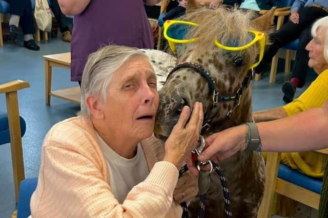 Rainbow Dreaming ponies bring joy to  Skegness Day Centre.