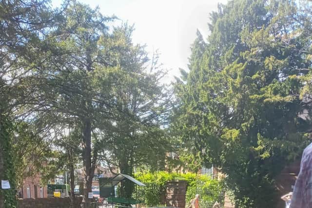 Adult yoga demonstrated outdoors at the Priory.