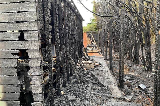 The fire damage to one of the resident's large sheds and fence, with the burnt row of conifers lining the ditch to the right of the image.