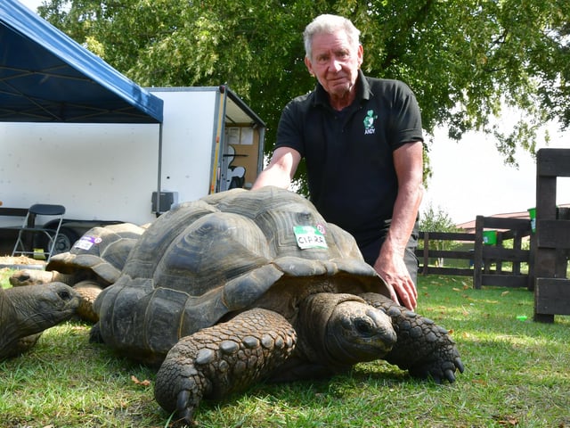 Andy Morris with one of his Aldabra Giant Tortoises.