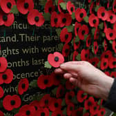 A person holds a poppy as they look at a wall made of 10,000 remembrance poppies following the RBL's Poppy Appeal 2022 (photo: Getty Images)