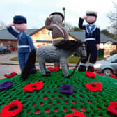 The Remembrance Day knitted tribute anonymously left in Old Leake. Photo by James Shanks.