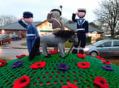 The Remembrance Day knitted tribute anonymously left in Old Leake. Photo by James Shanks.