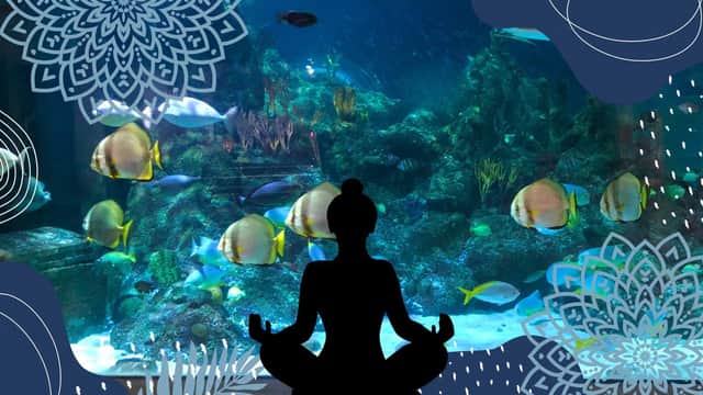 New yoga classes are starting at Skegness Aquarium.