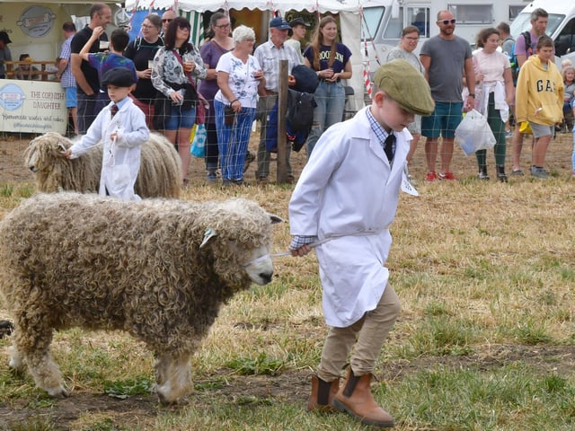 Junior Handler judging