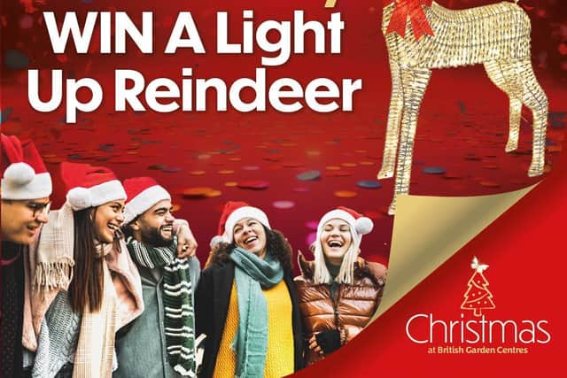Louth Garden Centre lights up Christmas with community giveaway