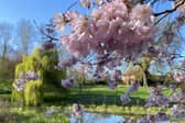 A beautiful Open Garden