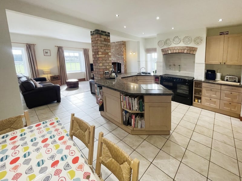 The open-plan kitchen/dining/family room.